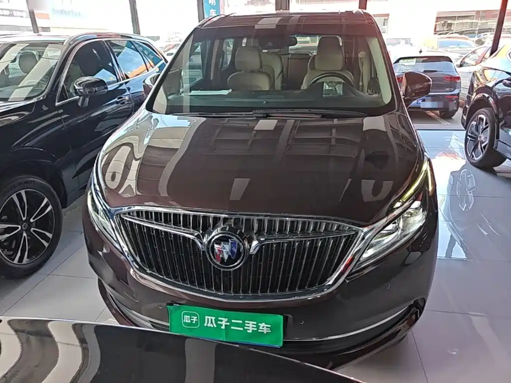 Buick GL8 — миниатюра 3