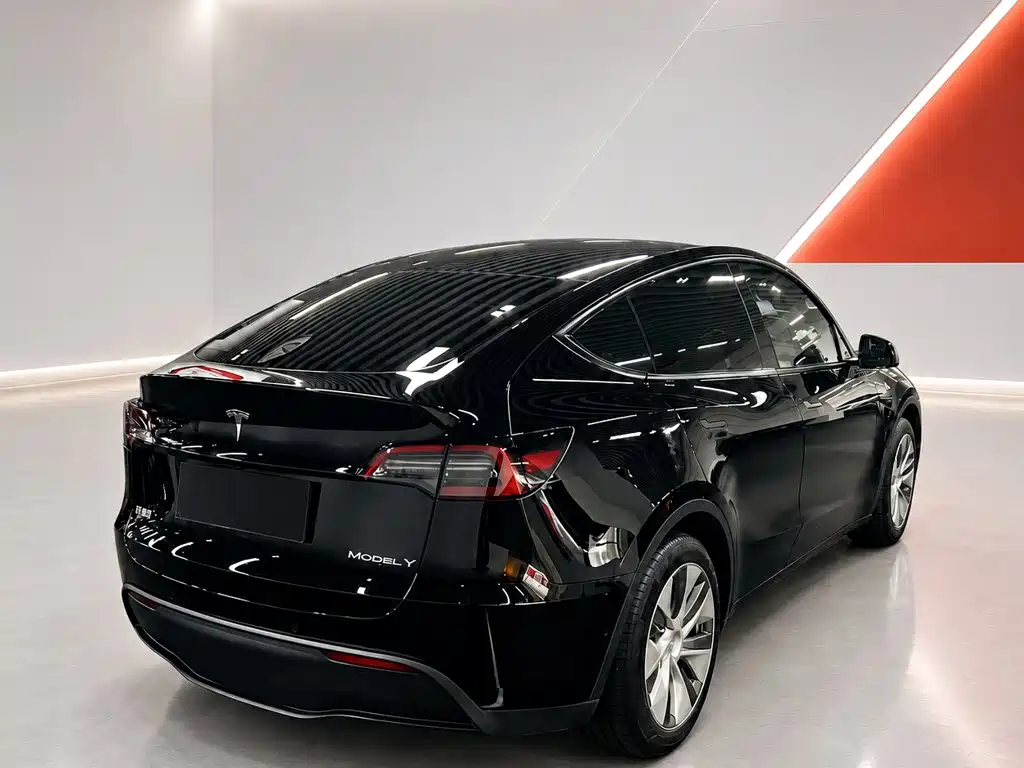 Tesla Model Y — миниатюра 6