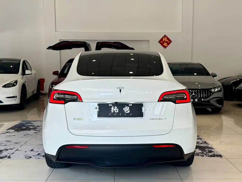 Tesla Model Y — миниатюра 11
