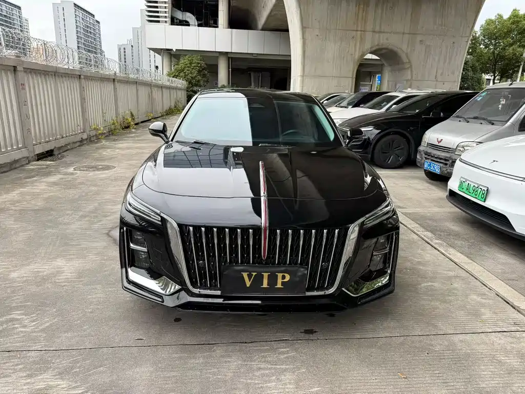 Hongqi H5 2024 2.0T AT