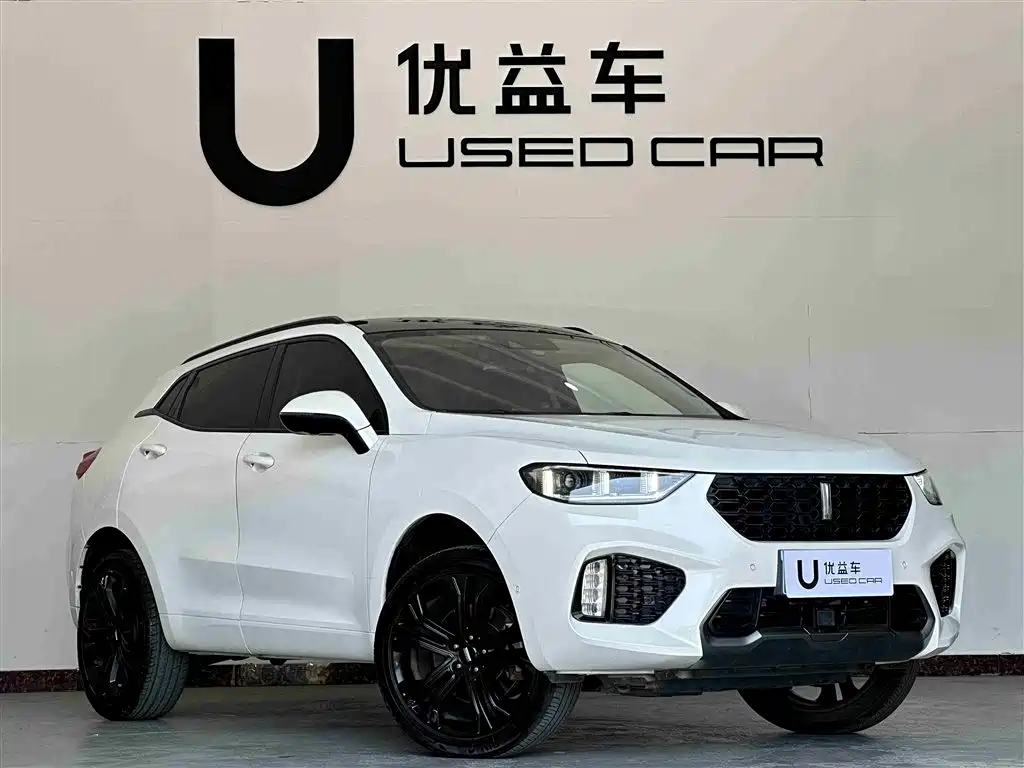 WEI PAI WEI BRAND VV5