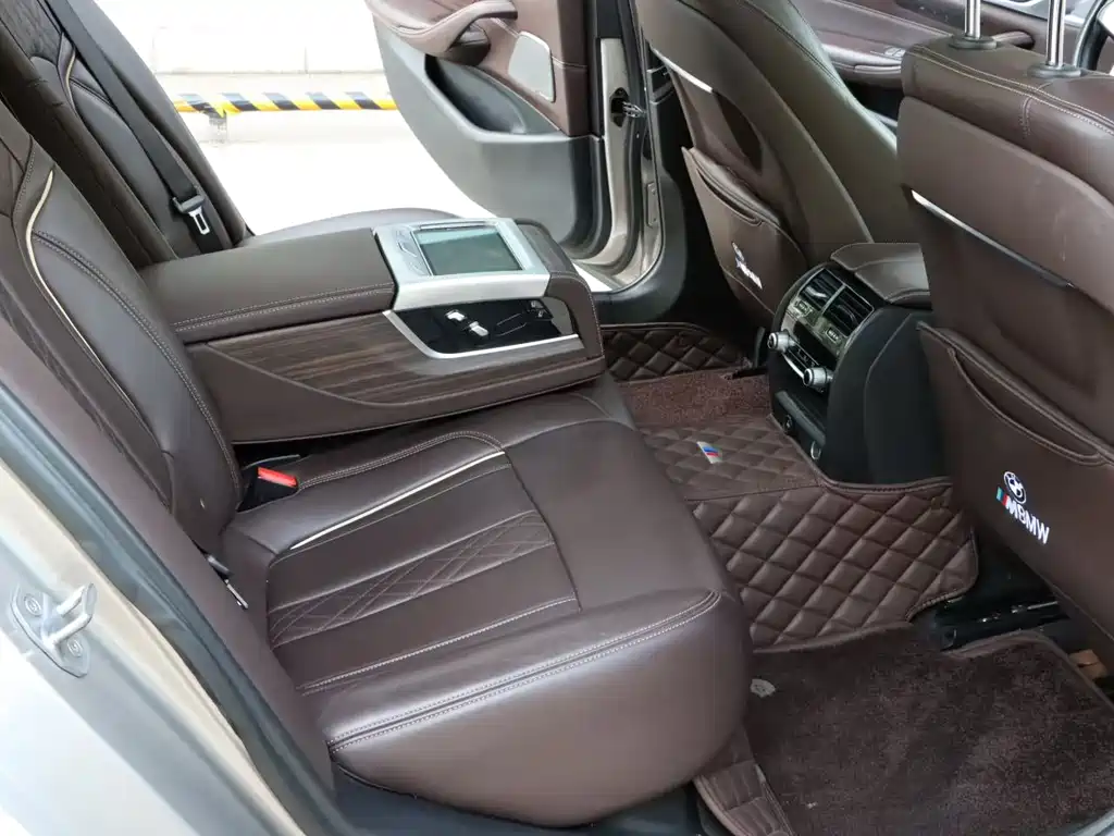 BMW 5 Series 5 2019 530Li Premium Luxury