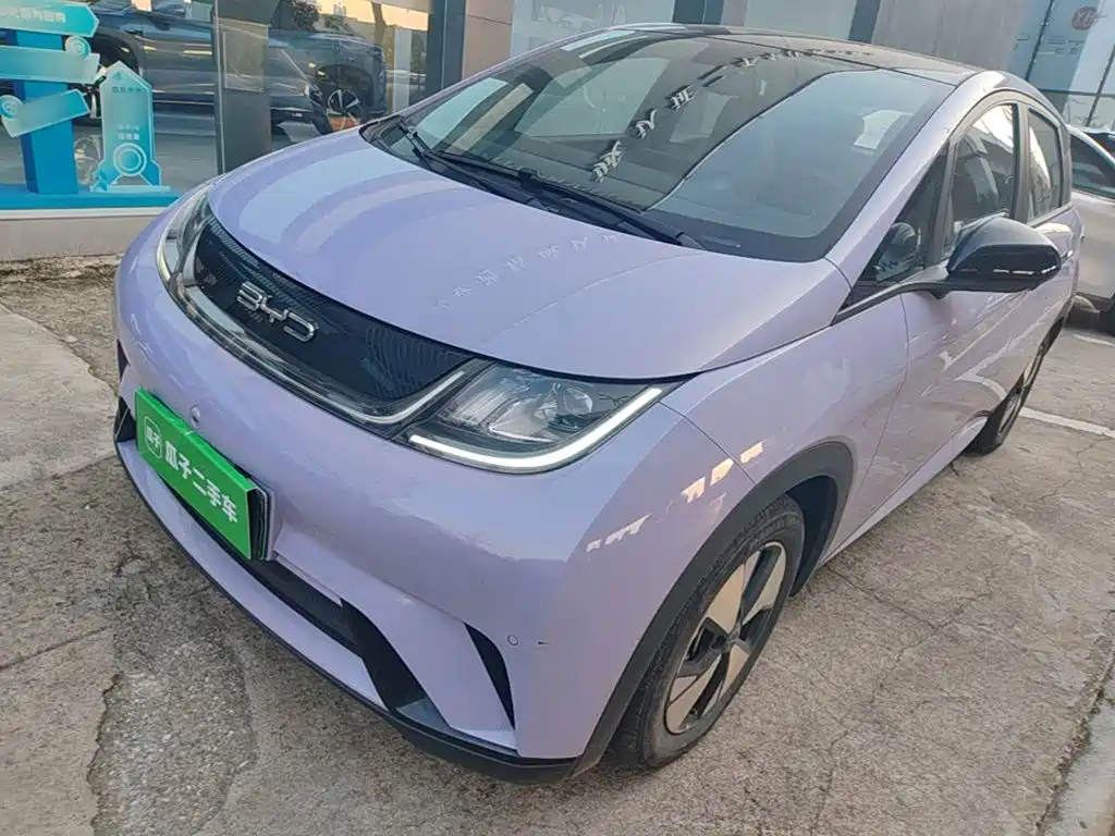 BYD Dolphin