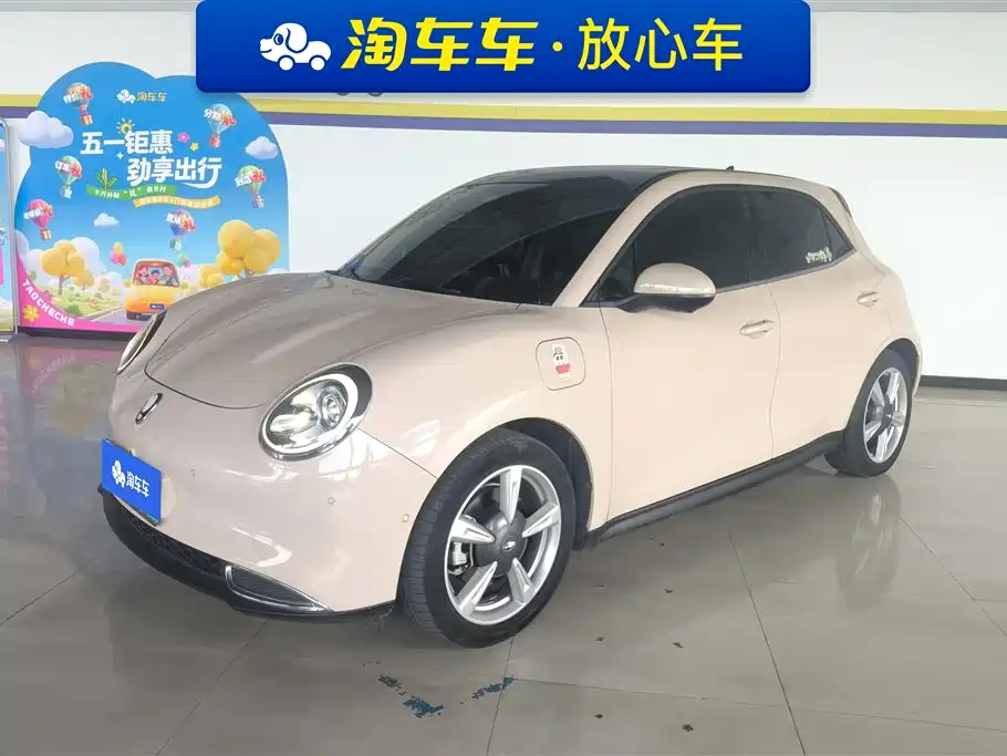 ORA Good Cat 2021 400km Standard Range Elegant Classic Na Edition LFP