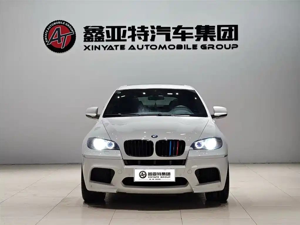 BMW X6 M 2010 X6 M