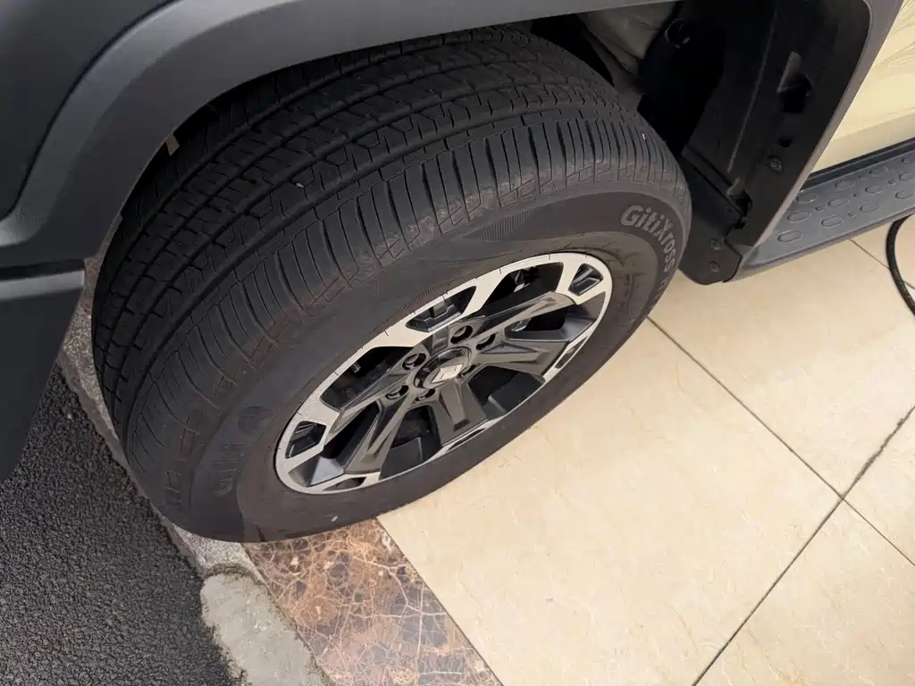 TANK TANK 300 NEW ENERGY