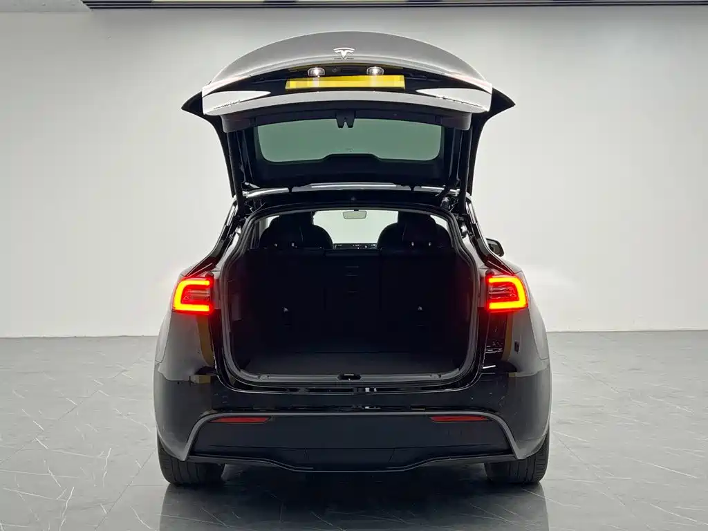 Tesla Model Y — миниатюра 12