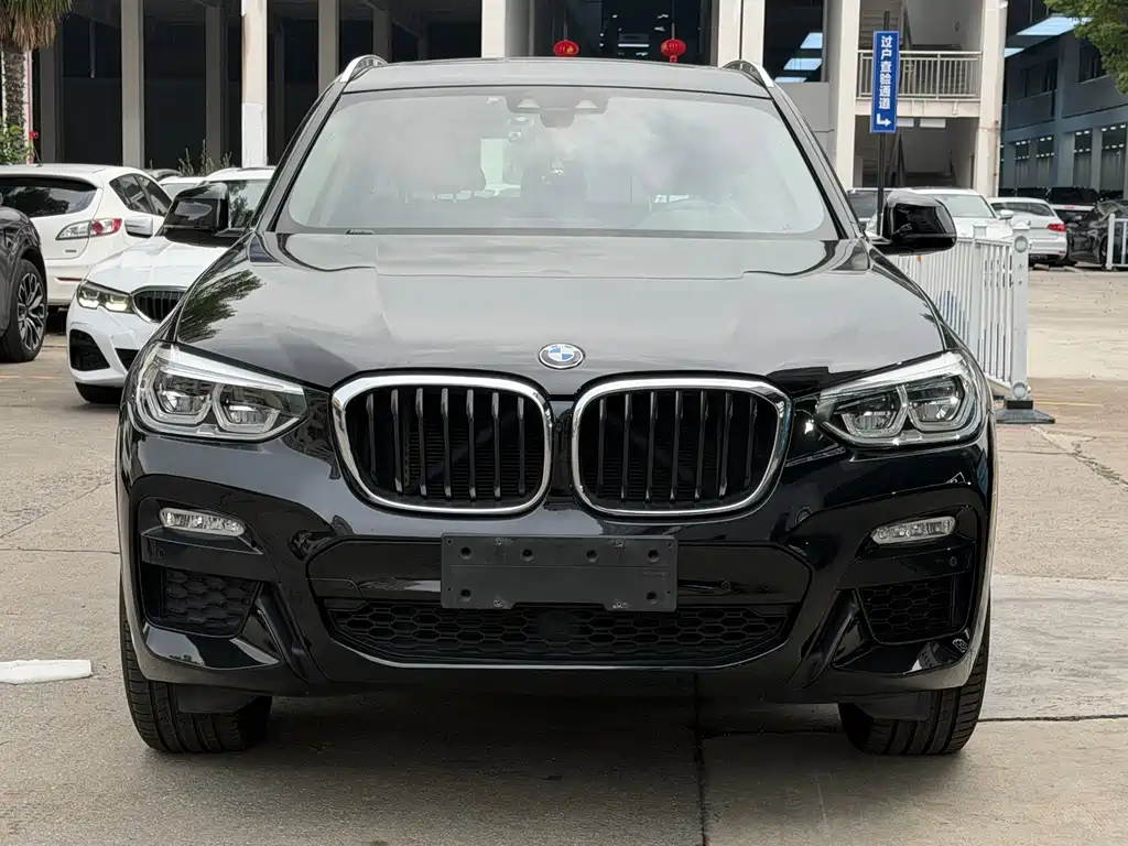 BMW X3 — миниатюра 2