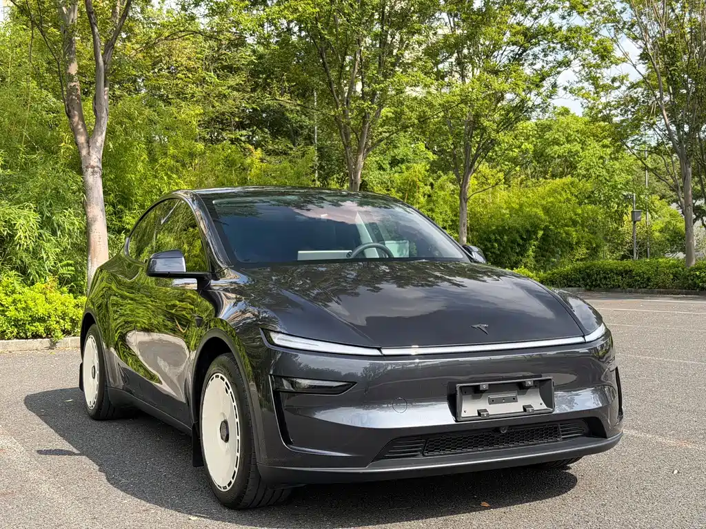 Tesla Model Y — фотографии объявления, Фото 4