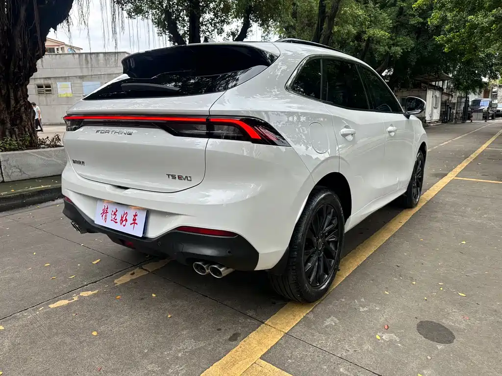 Fengxing Fengxing T5 EVO — миниатюра 4