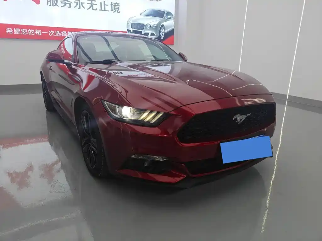 Ford Mustang — миниатюра 3
