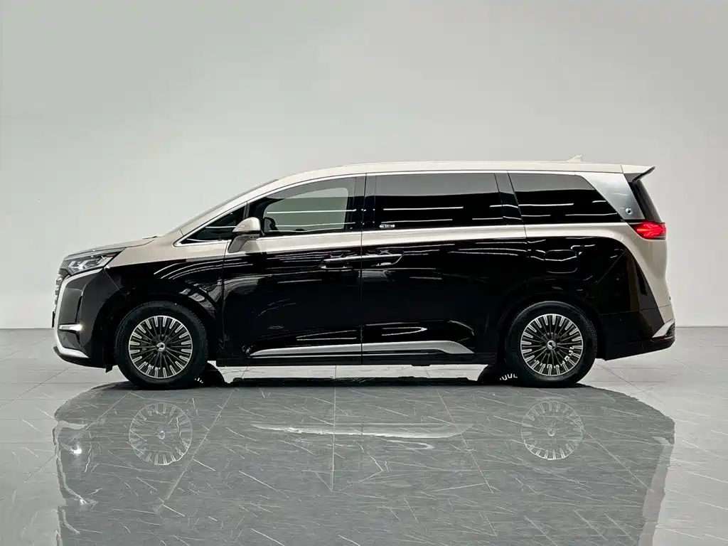 Denza Denza D9 — миниатюра 3