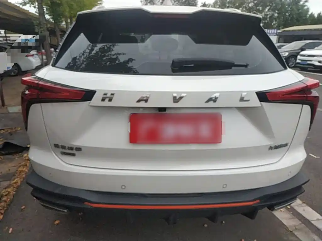 Haval Shenshou — миниатюра 6