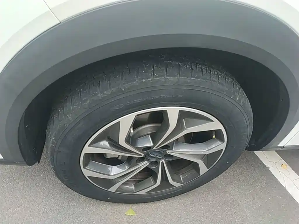 Haval Shenshou — миниатюра 23