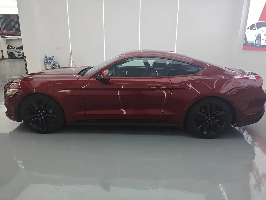 Ford Mustang — миниатюра 5