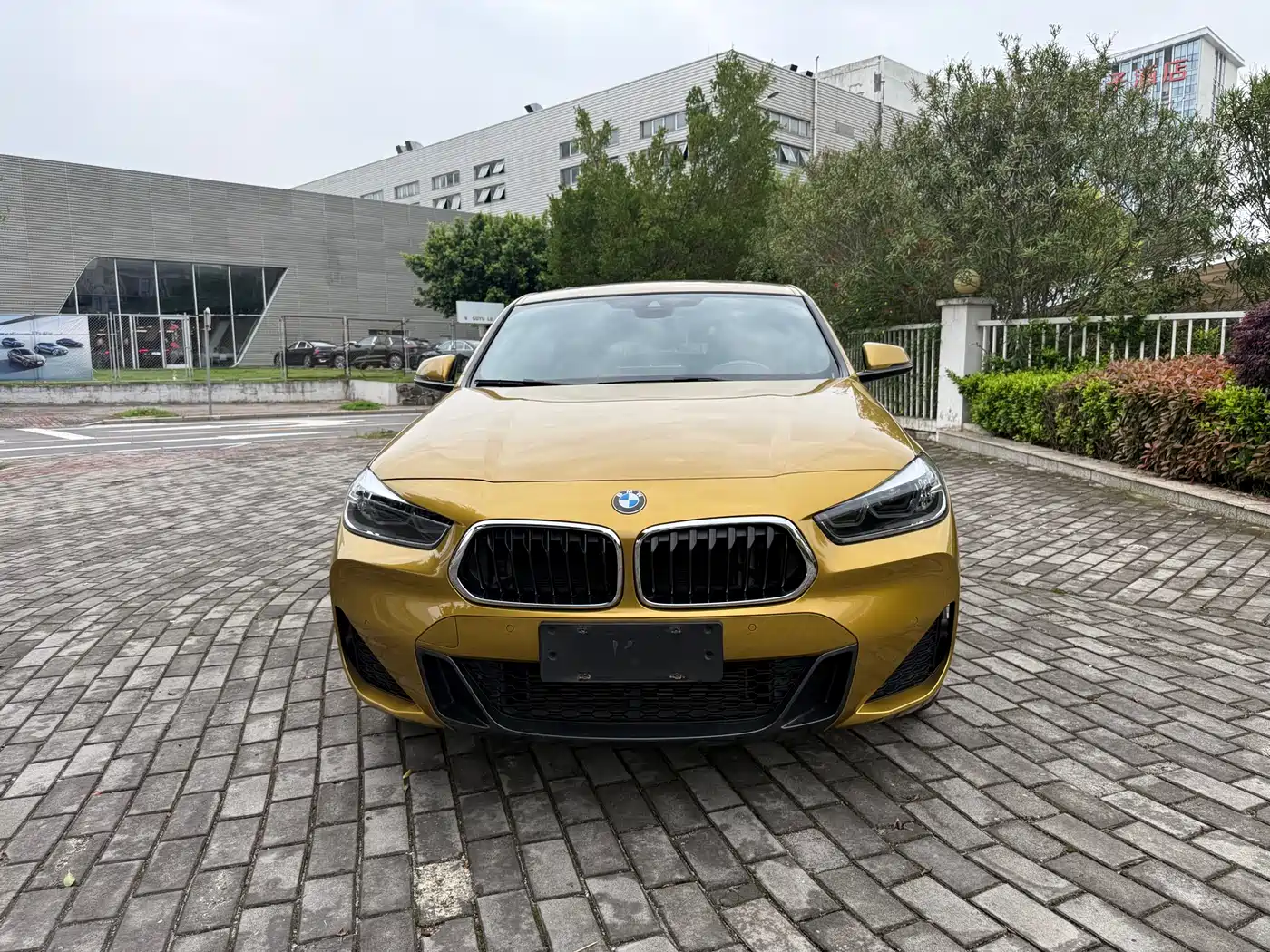 BMW X2
