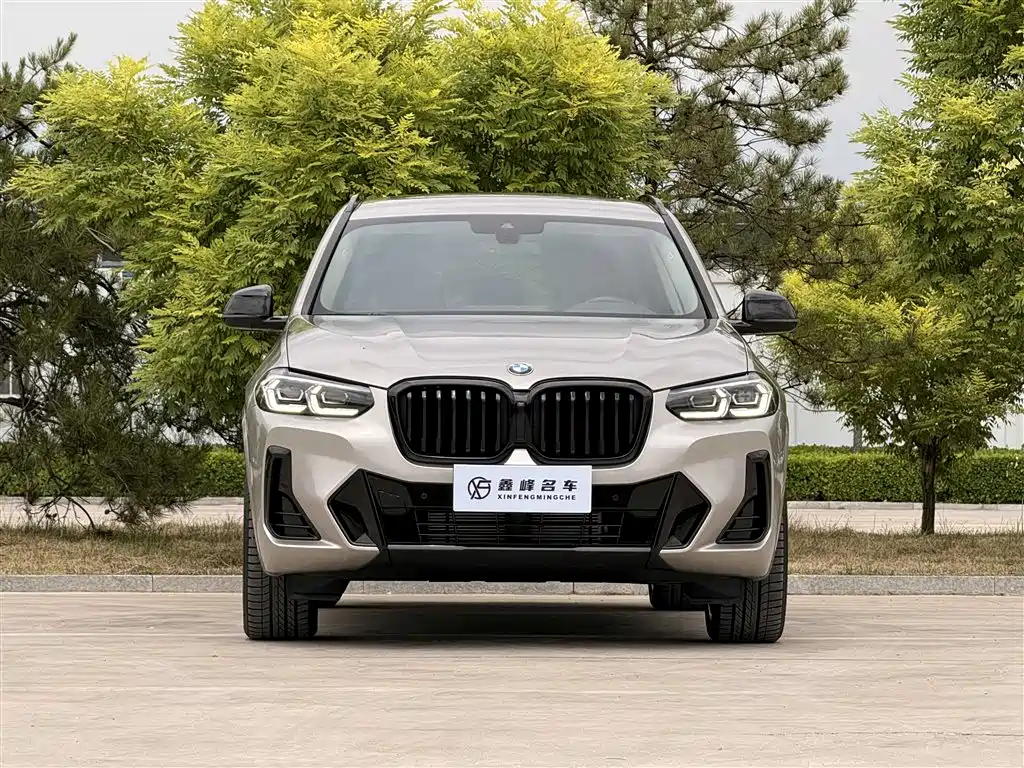 BMW X3 2022 xDrive30i Lead M