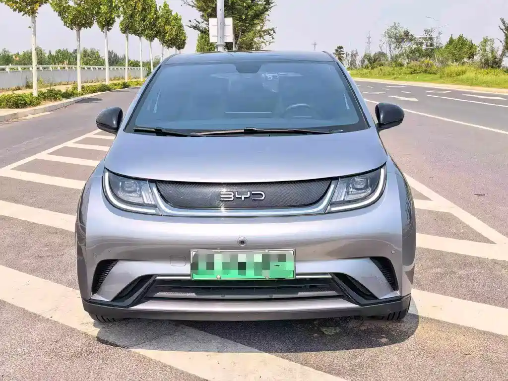 BYD Dolphin — миниатюра 2