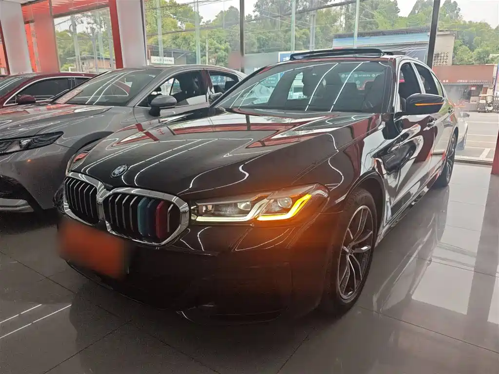 BMW 5 Series New Energy 2022