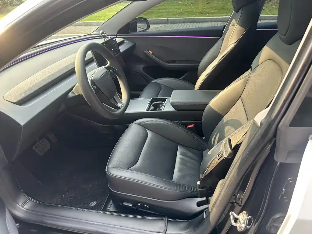 Tesla Model 3 — миниатюра 6