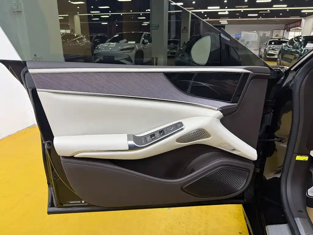 Denza Denza Z9 — миниатюра 3