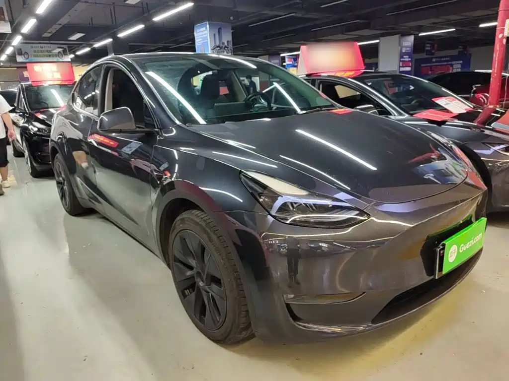 Tesla Model Y — миниатюра 4