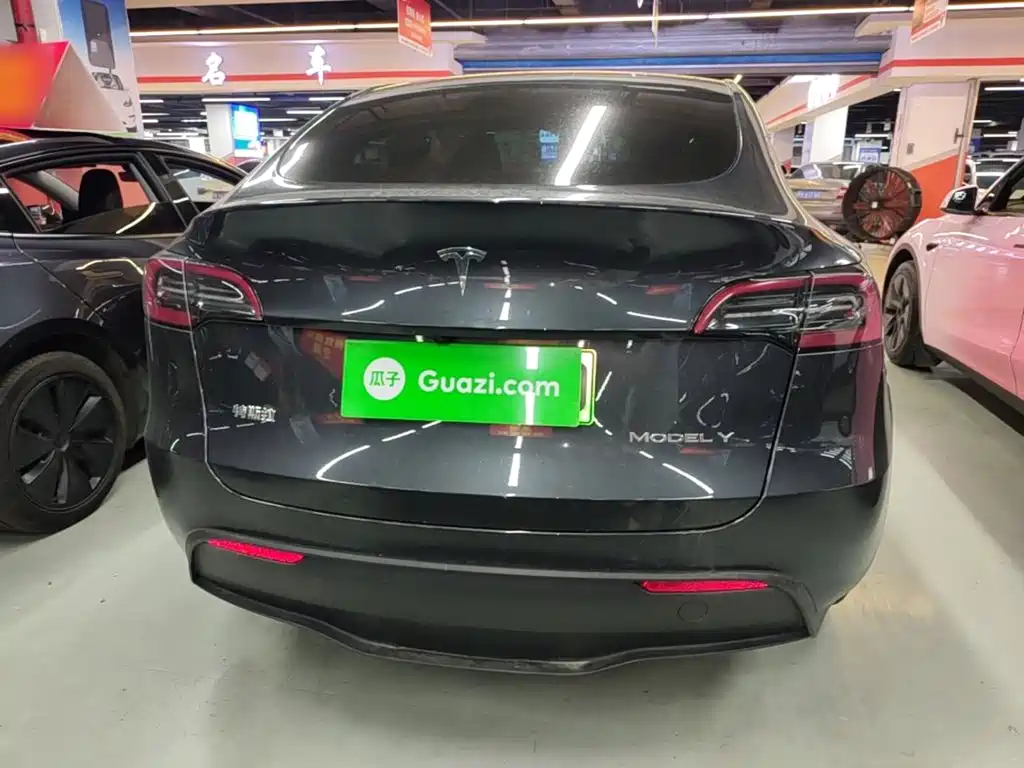 Tesla Model Y — миниатюра 6