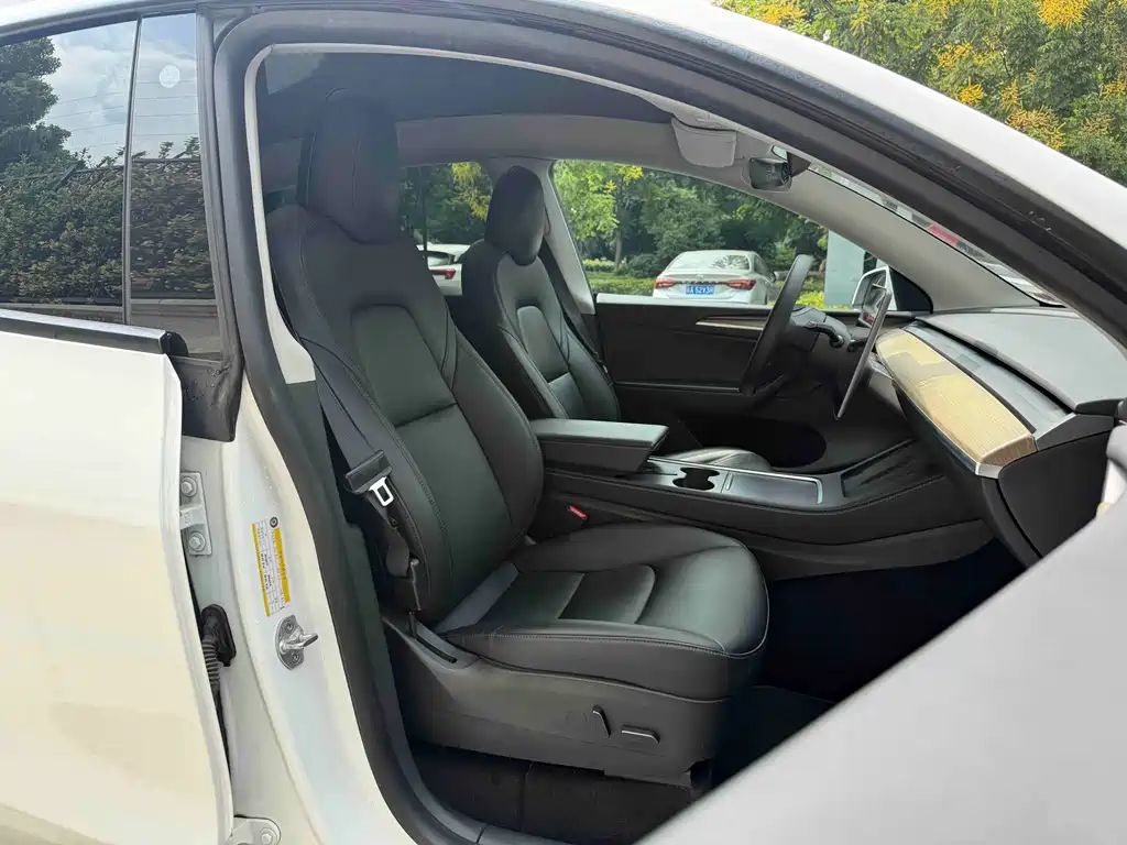 Tesla Model Y — миниатюра 12