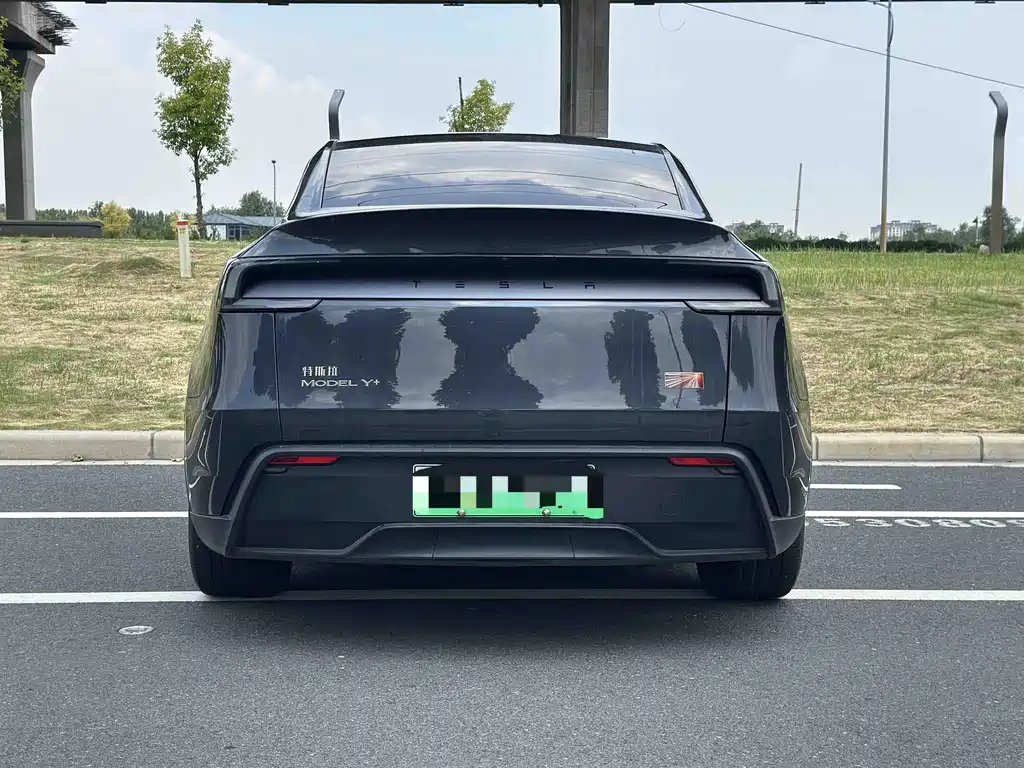 Tesla Model Y — миниатюра 8