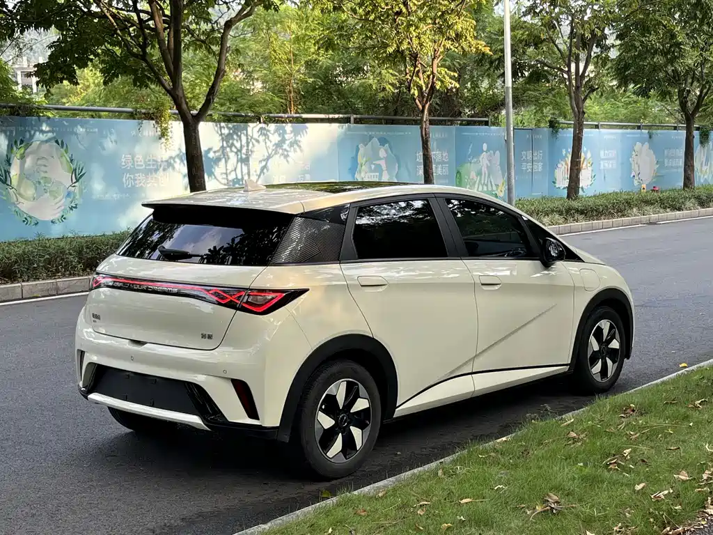 BYD Dolphin — миниатюра 5