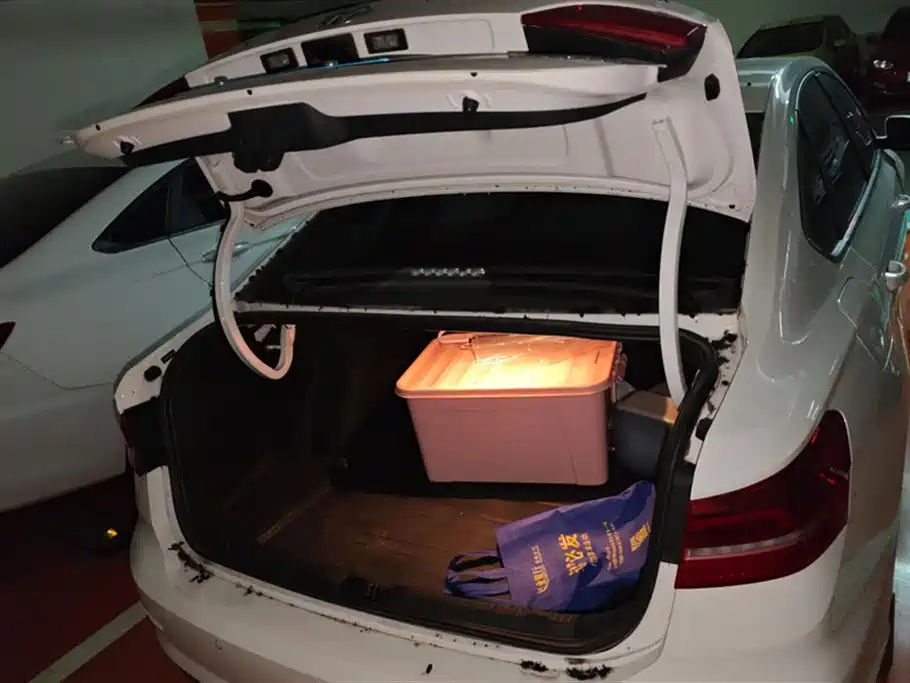 Volkswagen Lavida 2019 280TSI DSG Comfort VI