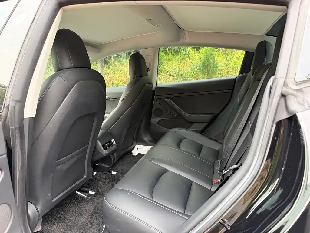 Tesla Model 3 — миниатюра 14