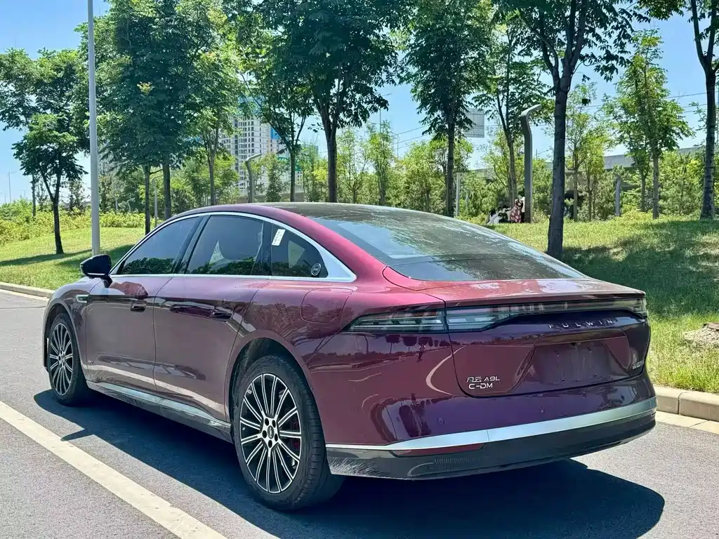 Fulwin Fengyun A9L — миниатюра 9
