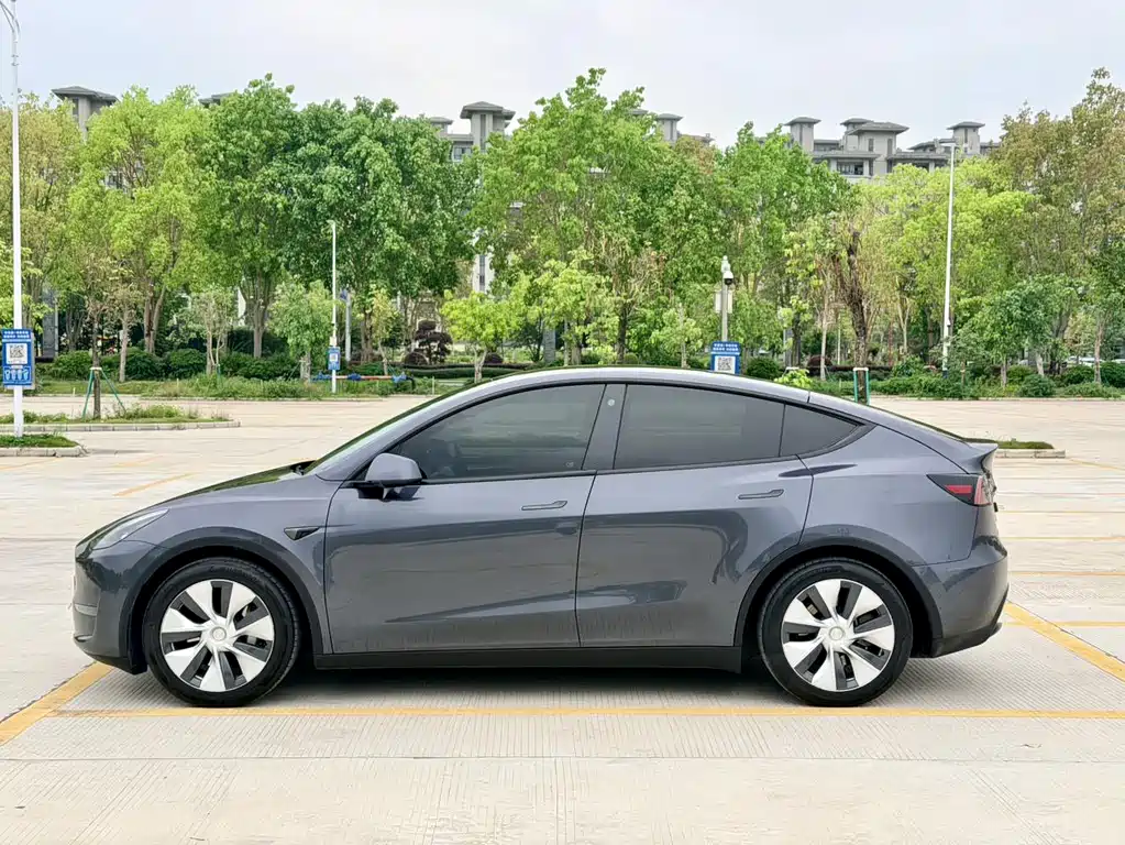 Tesla Model Y — миниатюра 7