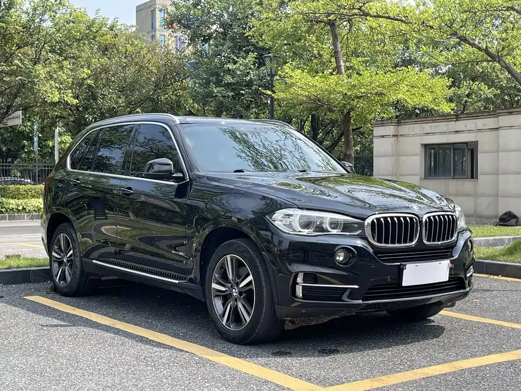 BMW X5 (Import) — миниатюра 3