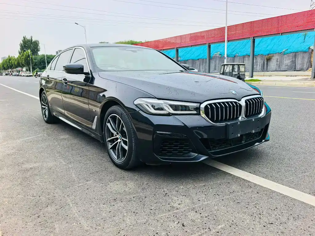 BMW 5 Series New Energy — миниатюра 3