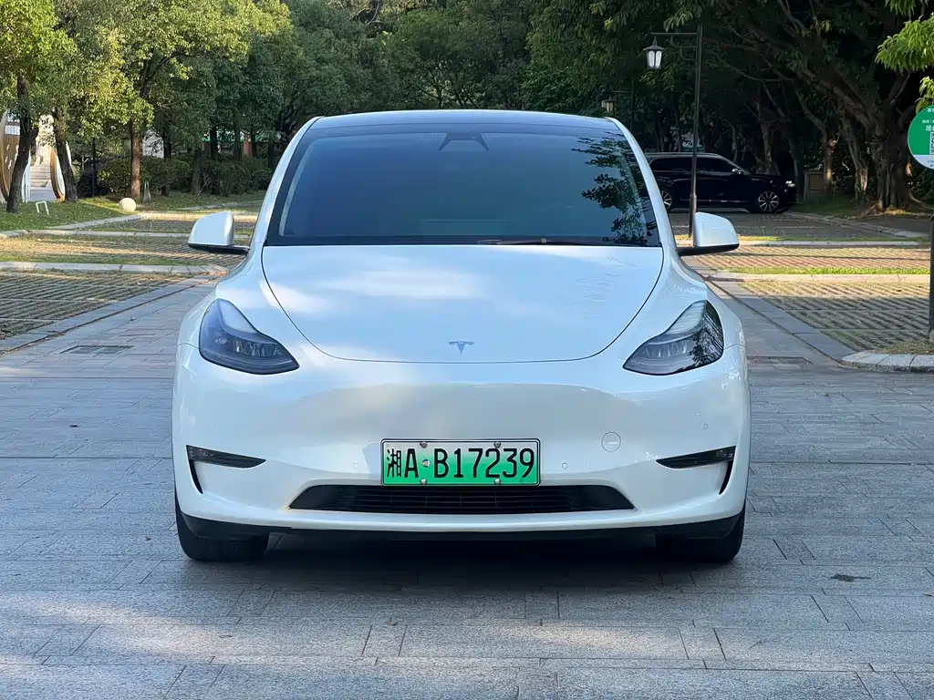 Tesla Model Y — миниатюра 2