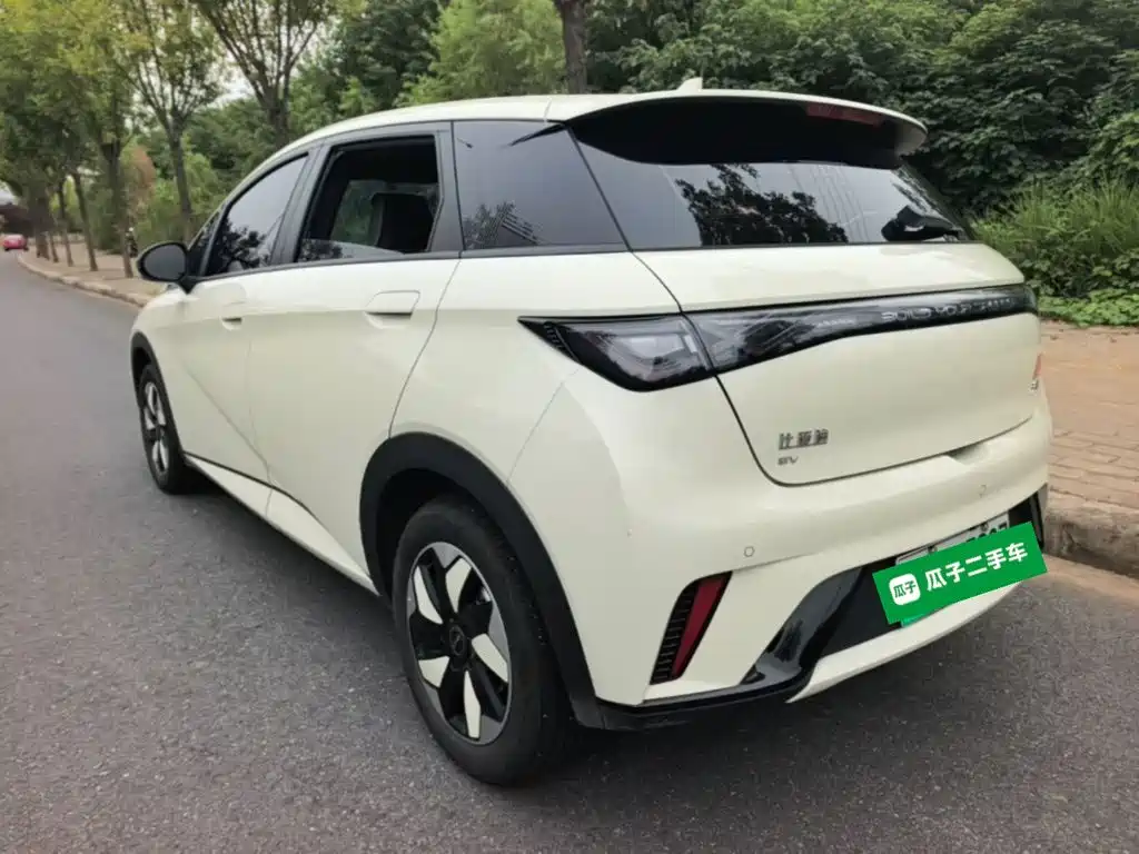 BYD Dolphin — миниатюра 5