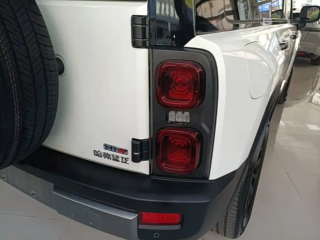 Haval Menglong New Energy — миниатюра 8