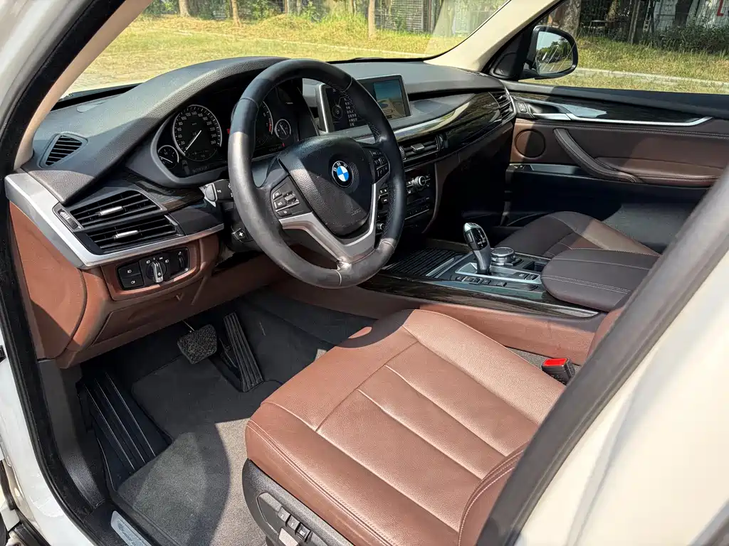 BMW X5 (Import) — миниатюра 8