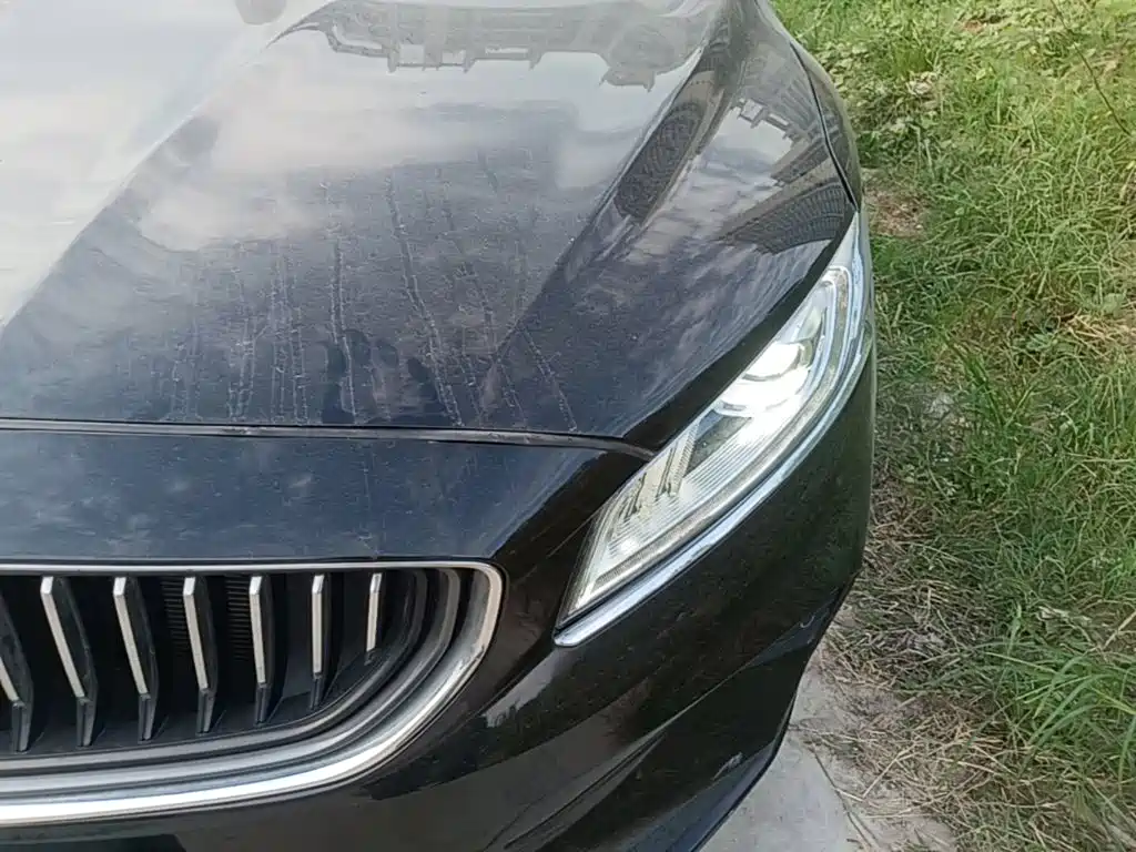 Geely Borui — миниатюра 24