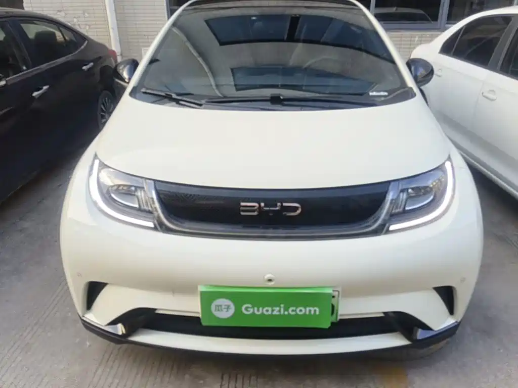 BYD Dolphin — миниатюра 3