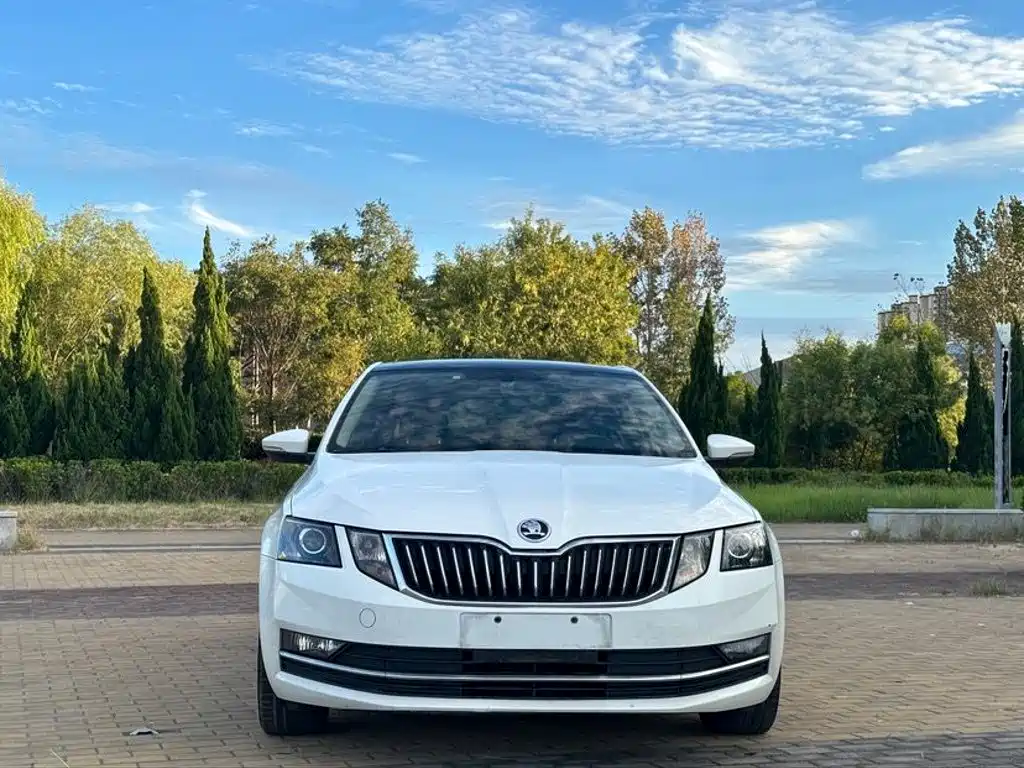 Skoda Octavia — миниатюра 2