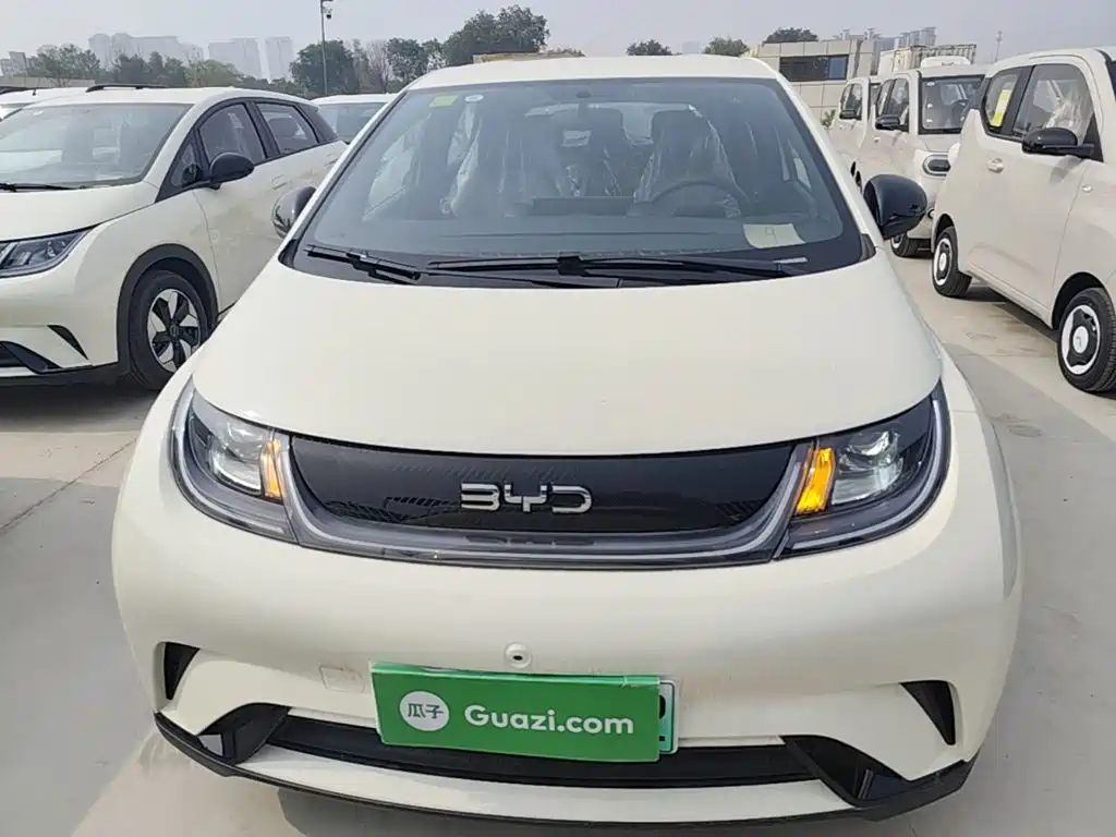 BYD Dolphin 2025 420km Freedom