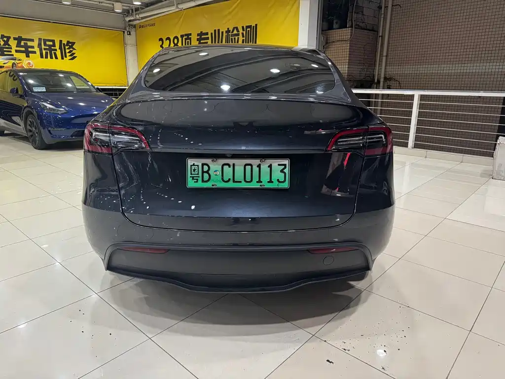 Tesla Model Y — миниатюра 4