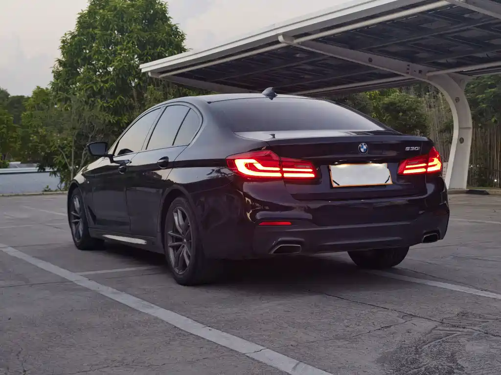 BMW 5 Series (Import) — миниатюра 6