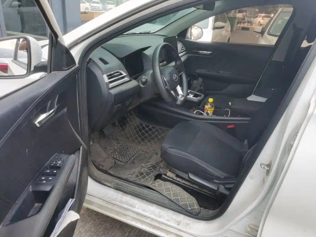 BYD e2 — миниатюра 12