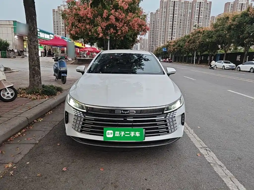 BYD Destroyer 05 — миниатюра 3