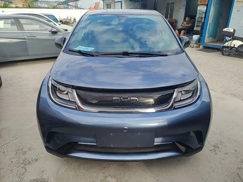 BYD Dolphin — миниатюра 3