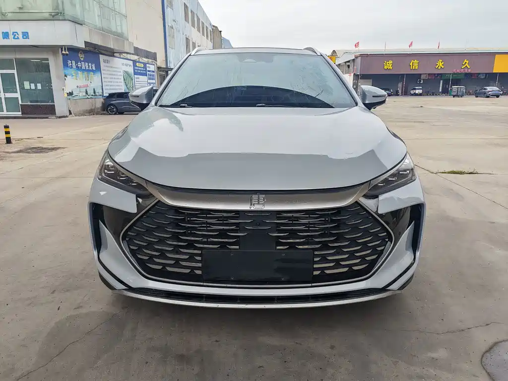 BYD Tang New Energy — миниатюра 2